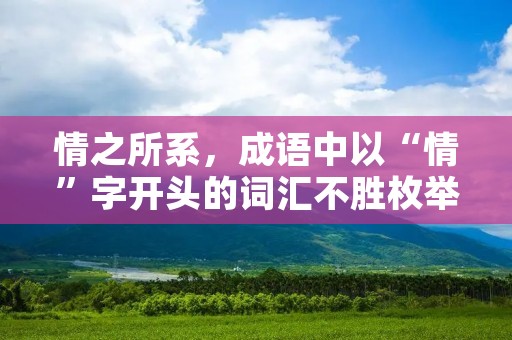 情之所系,成语中以“情”字开头的词汇不胜枚举。这些成语都是由古人在长期的生活实践中总结出来的,它们不仅有着深刻的文化内涵,还能够帮助我们更好地理解人与人之间的情感交流。