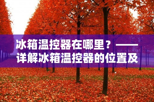 冰箱温控器在哪里?——详解冰箱温控器的位置及作用 冰箱温控器在哪里?——详解冰箱温控器的位置及作用