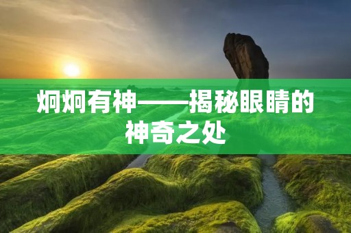 炯炯有神——揭秘眼睛的神奇之处 炯炯有神——揭秘眼睛的神奇之处