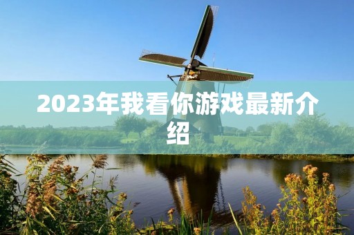 2023年我看你游戏最新介绍
