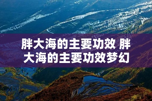 胖大海的主要功效 胖大海的主要功效梦幻