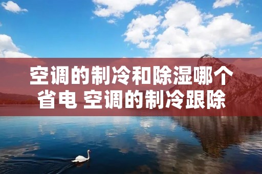 空调的制冷和除湿哪个省电 空调的制冷跟除湿哪个省电 空调的制冷和除湿哪个省电 空调的制冷跟除湿哪个省电