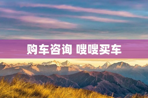 购车咨询 嗖嗖买车