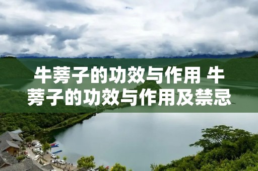 牛蒡子的功效与作用 牛蒡子的功效与作用及禁忌
