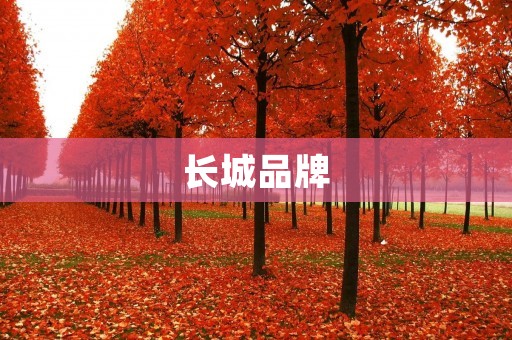 长城品牌:打造中国汽车行业的领头羊 长城品牌:打造中国汽车行业的领头羊