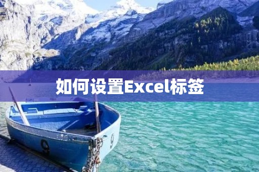 如何设置Excel标签