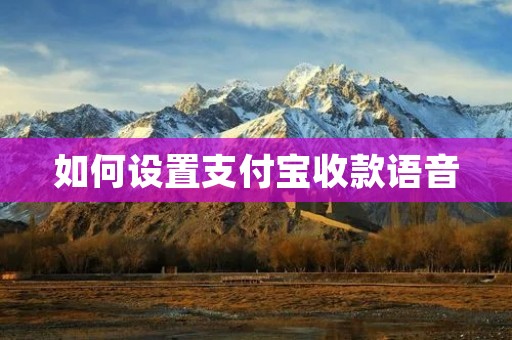 如何设置支付宝收款语音