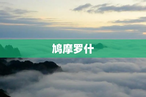 鸠摩罗什:佛教翻译** 鸠摩罗什:佛教翻译**