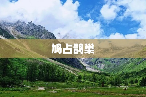 鸠占鹊巢:道德与权力的较量 鸠占鹊巢:道德与权力的较量