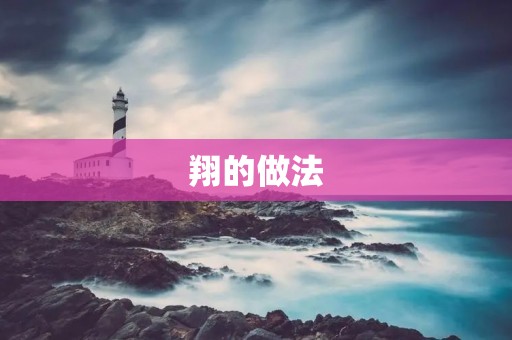 翔的做法:如何成为一名成功的企业家 翔的做法:如何成为一名成功的企业家