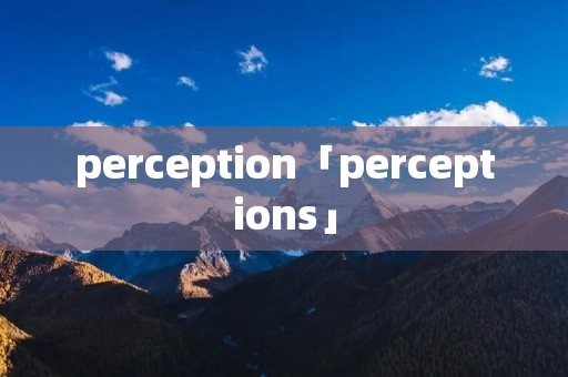 perception「perceptions」