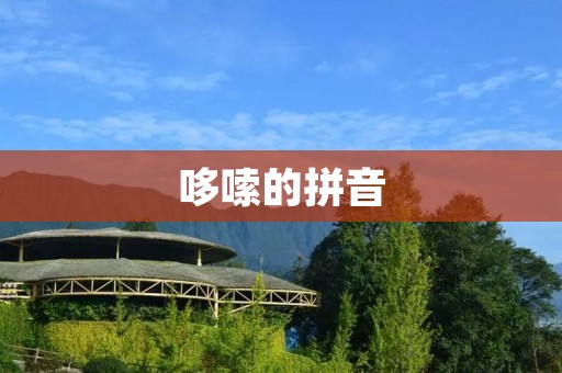 哆嗦的拼音:一场语言的深度思考