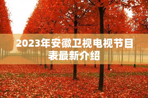 2023年安徽卫视电视节目表最新介绍