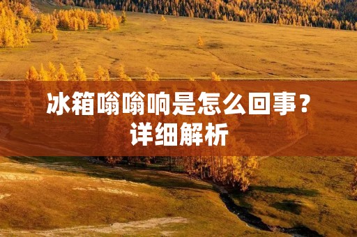 冰箱嗡嗡响是怎么回事?详细解析 冰箱嗡嗡响是怎么回事?详细解析