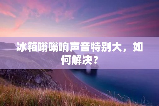 冰箱嗡嗡响声音特别大,如何解决? 冰箱嗡嗡响声音特别大,如何解决?