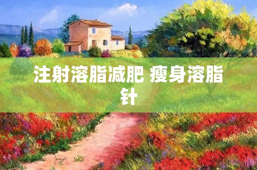 注射溶脂减肥 瘦身溶脂针
