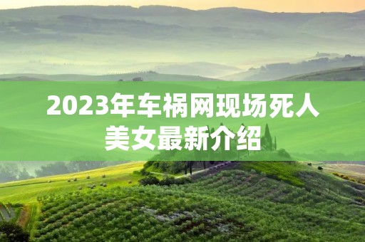 2023年车祸网现场死人美女最新介绍