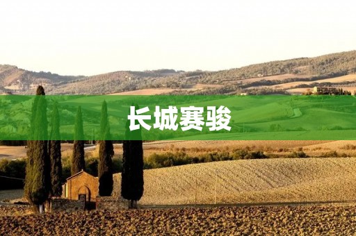 长城赛骏:一款颠覆传统的高性能SUV 长城赛骏:一款颠覆传统的高性能SUV