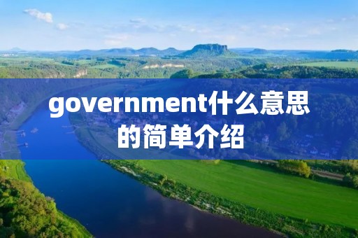 government什么意思的简单介绍 government什么意思的简单介绍