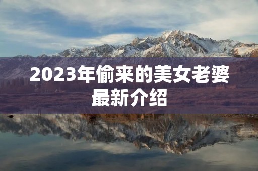 2023年偷来的美女老婆最新介绍