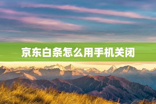 京东白条怎么用手机关闭
