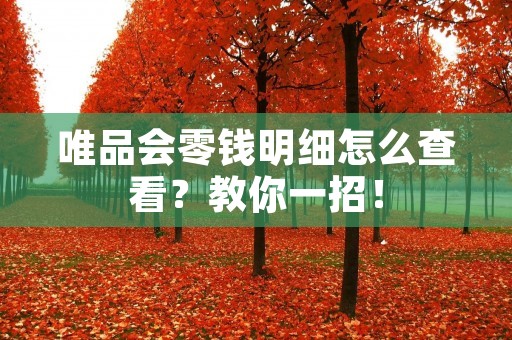 唯品会零钱明细怎么查看?教你一招!