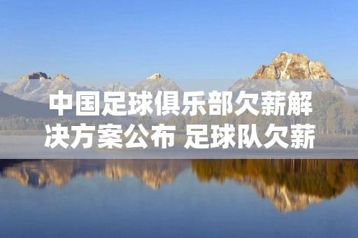 中国足球俱乐部欠薪解决方案公布 足球队欠薪