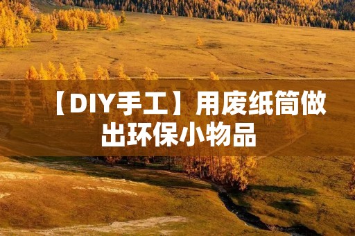 【DIY手工】用废纸筒做出环保小物品 【DIY手工】用废纸筒做出环保小物品