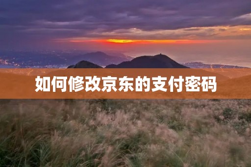 如何修改京东的支付密码