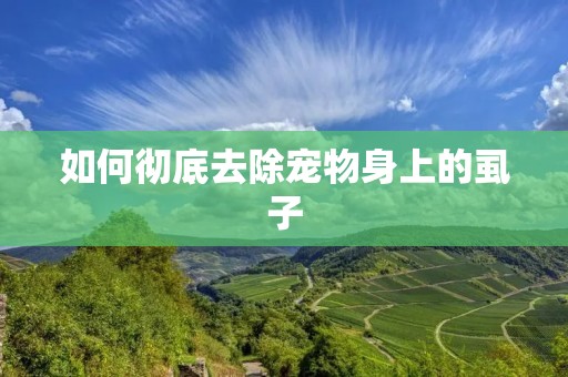 如何彻底去除宠物身上的虱子