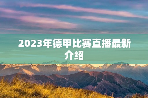 2023年德甲比赛直播最新介绍