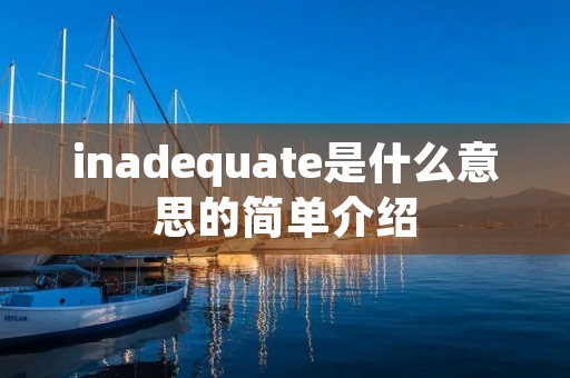 inadequate是什么意思的简单介绍