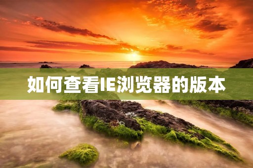 如何查看IE浏览器的版本