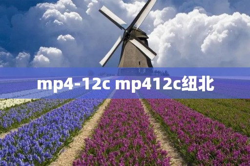 mp4-12c mp412c纽北