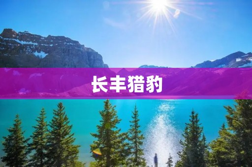 长丰猎豹:中国自主品牌的崛起 长丰猎豹:中国自主品牌的崛起