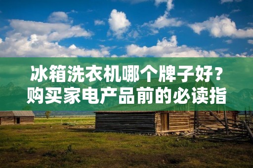 冰箱洗衣机哪个牌子好?购买家电产品前的必读指南 冰箱洗衣机哪个牌子好?购买家电产品前的必读指南