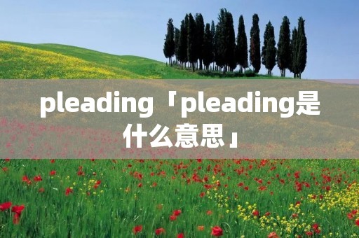 pleading「pleading是什么意思」
