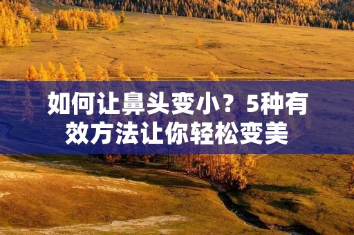 如何让鼻头变小?5种有效方法让你轻松变美 如何让鼻头变小?5种有效方法让你轻松变美