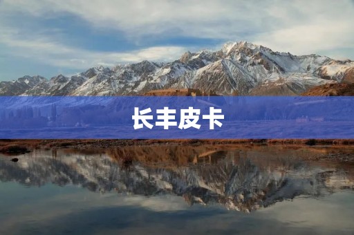 长丰皮卡：中国制造的高品质商用车