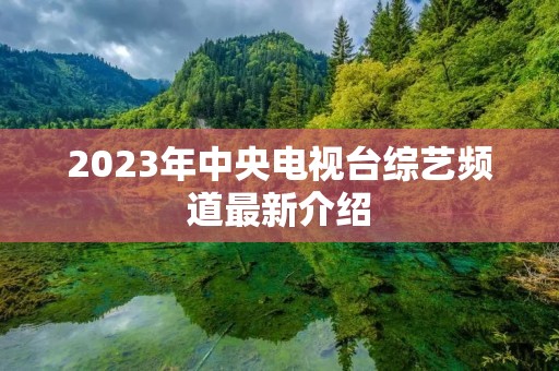 2023年中央电视台综艺频道最新介绍
