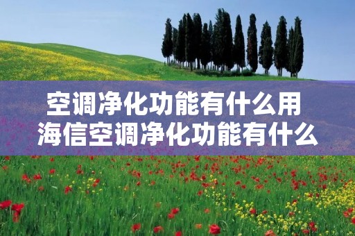 空调净化功能有什么用 海信空调净化功能有什么用 空调净化功能有什么用 海信空调净化功能有什么用
