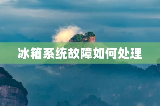 冰箱系统故障如何处理 冰箱系统故障如何处理