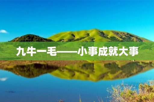 九牛一毛——小事成就大事 九牛一毛——小事成就大事