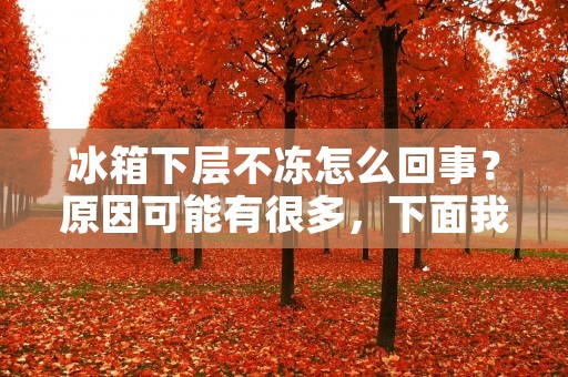 冰箱下层不冻怎么回事?原因可能有很多,下面我们来一一分析。 冰箱下层不冻怎么回事?原因可能有很多,下面我们来一一分析。