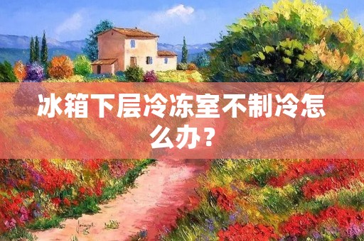 冰箱下层冷冻室不制冷怎么办？