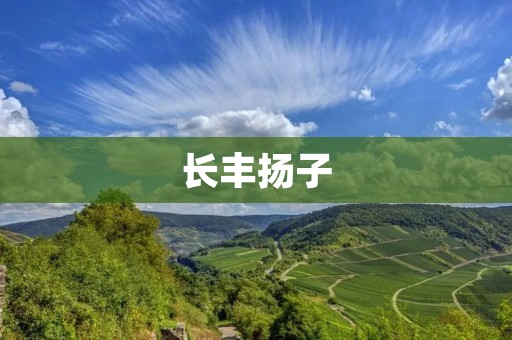 长丰扬子：一座江南水乡的迷人风景