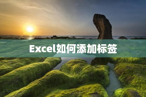 Excel如何添加标签