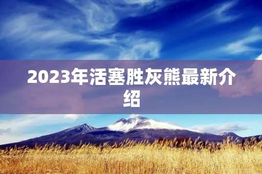 2023年活塞胜灰熊最新介绍
