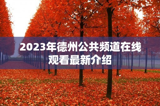 2023年德州公共频道在线观看最新介绍