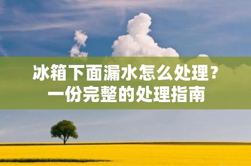 冰箱下面漏水怎么处理?一份完整的处理指南 冰箱下面漏水怎么处理?一份完整的处理指南